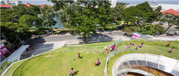幼兒園設(shè)計裝修中該如何選擇綠植 記住一下三點(diǎn)原則即可